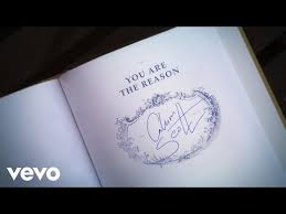 But here we are and you're in too deep. Calum Scott You Are The Reason Deutsche Ubersetzung Lyrics Songtextes De