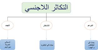 بحث عن التكاثر اللاجنسي
