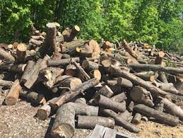 You can find free firewood if you know where to look. My Free Firewood Home Facebook