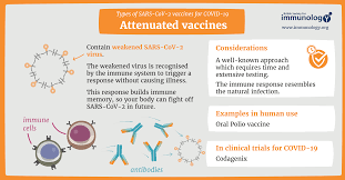 Strong opinions on oxford vs. Types Of Vaccines For Covid 19 British Society For Immunology