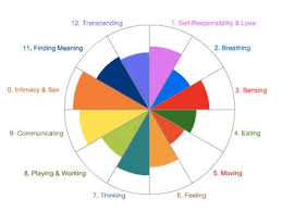 Html Chart Generator Qbn