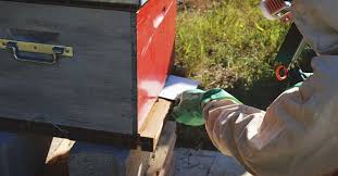 You will need access to a lathe and welding torch to make this project. How To Treat Varroa Mite And Save Your Bees Using Oxalic Acid