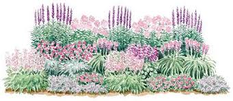 If you use violet as your primary garden color, add to it various shades of purple flowers and blue flowers. Pink And Purple Flower Garden Borders Garden Borders Garden Planning