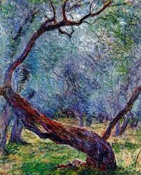 Olive Trees Study Claude Monet Monet Art Claude Monet Impressionist Art