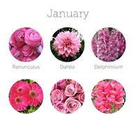 wedding flower chart by month pictures photos and images