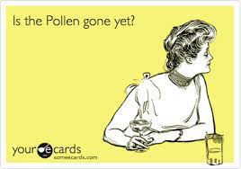 Is The Pollen Gone Yet Allergies Funny Allergies Quote Allergy Memes
