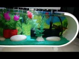 Aquarium mini ikan cupang akrilik unik kuat murah promo bergaransi. Aquarium Mini Aquarium Ikan Cupang Aquarium Unik Youtube