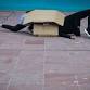 The Cardboard Project: Composing Creative Movement... event in Queenstown