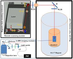 Wholesale excitation light source ☆ find 87 excitation light source products from 53 manufacturers & suppliers at ec21. A Proof Of Concept Study For Developing Integrated Two Photon Microscopic And Magnetic Resonance Imaging Modality At Ultrahigh Field Of 16 4 Tesla Scientific Reports
