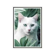 Black Cat With Green Eyes