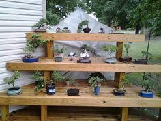 A Little Bit Of Heaven Our Bonsai Garden Surrounded By Condos Garten
