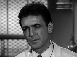 The Fugitive TV Series