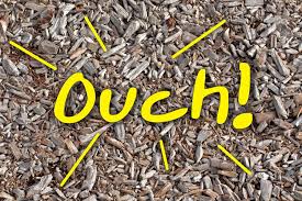 Woodchips Are Not A Good Surface For Playgrounds Adventure Turf Wood Mulch Landscaping Around House Pergola Pictures