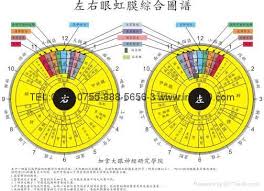 Iridology Chart Iridology Eye Chart Product Catalog China