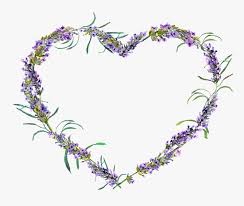 All flower wreath clip art are png format and transparent background. Transparent Lavender Wreath Clipart Lavender Flower In Heart Shape Hd Png Download Kindpng