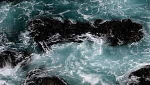 See hydrotech veolia water solutions's products and customers. Home Veolia