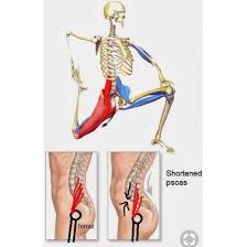 Untitled Back Exercises Psoas Muscle Tight Hip Flexors
