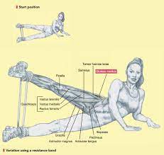 Seated banded hip abduction muscles worked. Hip Abduction How To Build Your Glutes Lying Standing Kneeling Machine