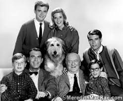 My Three Sons Reunion My Three Sons Classic Tv Comedy Tv