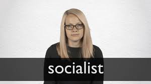 Socialist Definition And Meaning Collins English Dictionary