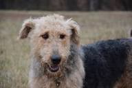 Profile Picture of Ethel M Shaver Obituary - Visitation & Funeral Informationon Google