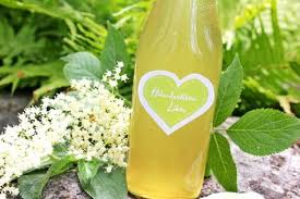 Holunderbluten Likor Fashion Kitchen Holunderbluten Schnaps Holunder Holunder Rezepte