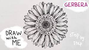 Today S Flower Gerbera Draw With Me Using 1 Pen Youtube Daisy Drawing Flower Drawing Gerbera