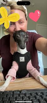 Pet Sitter Recommendation in Moncks Corner