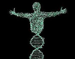 Los seres vivos están constituidos por elementos y compuestos químicos que por ser constitución de ellos se les llama precisamente bioelementos y biomoléculas. Composicion Quimica De Los Seres Vivos Biomoleculas Organicas E Inorganicas