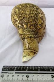 What does the conch shell symbolize in buddhism? 68 Conch Ideas Conch Sea Shells She Sells Seashells
