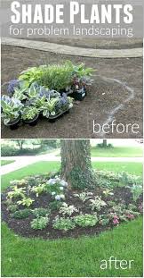 Outdoor Landscaping Ideas Ohio Enough Garden Hard Landscaping Near Me Time Landscape Gardening Supplies Newcastle Most Lan Plants Landscaping Tips Shade Plants