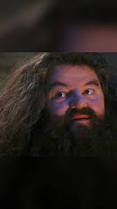My Name Is Richard Hagrid