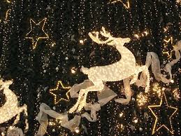 You Won T Want To Miss Out On All Of The Great Events Activities Happening This We Christmas Lights Wallpaper Holiday Lights Decorating With Christmas Lights