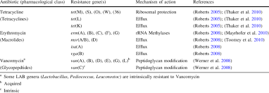 The fact that most characterized resistance genes were inherited as single genetic loci allowed plant biologists to employ genetic strategies to. Antibiotic Resistance Genes Most Commonly Found In Lab Download Table