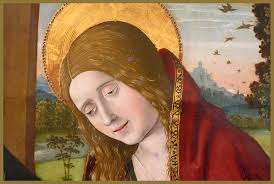 DOMVS PVCELAE: 1/2/17