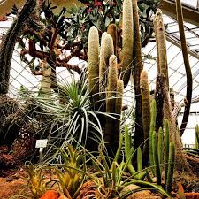 Damit gilt der der botanische garten als der älteste botanische universitätsgarten europas. Der Palmengarten Ist Ein Botanischer Garten In Frankfurt Am Main Mit 22 Hektar Ist Er Einer Der Grossten Mittelalterliche Burg Palmengarten Stadte In Hessen