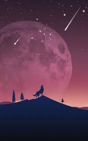 Download hd wallpapers for free on unsplash. Wolf Wallpaper Galaxy S7 Edge Wallpaper Phone Phone Wolf Wallpaper Phone 800x1280 Download Hd Wallpaper Wallpapertip