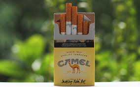 Camel cigarettes were harmonized in a way to be smoked considerably easier in contrast to the much harsher brands popular in the period of their introduction in 1913 by r.j.reynolds. Camel Yellow Cigarettes Smoking Room