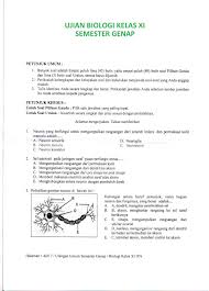 Latihan soal pts biologi kelas 11 semester 1. Terkini Soal Uas Biologi Kelas Xi Semester 1 Dan Kunci Jawaban