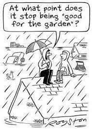 Rain Rain Go Away Gardening Quotes Funny Funny Rain Quotes Rain Humor Rain rain go away!, lolcats, lol, cat memes, funny. funny rain quotes rain humor