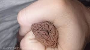 Daging saya sangat panjang! kontol yang belum disunat | xHamster