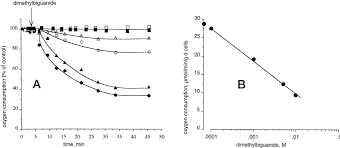 We did not find results for: Dimethylbiguanide Inhibits Cell Respiration Via An Indirect Effect Targeted On The Respiratory Chain Complex I Journal Of Biological Chemistry