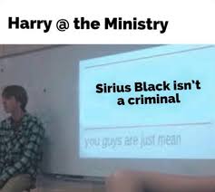 Harry The Ministry Sirius Black Isn T A Criminal You Guys Are Just Mean Meme On Me Me