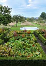 6 Plantes Ideales Pour Une Haie De Jardin Haies De Jardin Jardins Les Plus Beaux Jardins