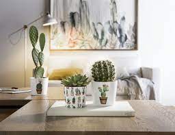 Whether you want a small grouping of cacti or a large bowl spilling over with a huge array of succulents, you'll get ideas plus all the steps to make your own dynamic display. Cactus Garden Scheurich