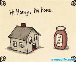 Hi Honey I Am Home Humor Lol Funny Funny Puns Funny Humor