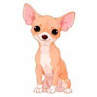 Emoji Chihuahua Arte De Boston Terrier Razas Perros Bonitos Emoticonos De Facebook