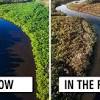 Tropical rain forests are most often located near the plant diversity in tropical rain forests is very important. Https Encrypted Tbn0 Gstatic Com Images Q Tbn And9gcsx6q Uiecplhzcnrfcps8ss Tgsix7wvpjnhbp5kprfhvt1xgn Usqp Cau