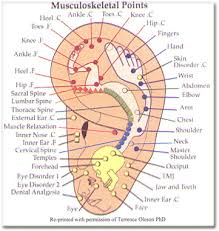 Auriculotherapy Back Neck Pain Center