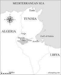 Maphill is more than just a map gallery. Map Of Southern Tunisia Showing The Location Of Sampled Oases Download Scientific Diagram